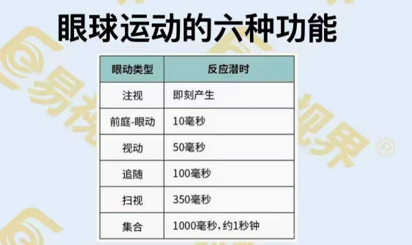 眼球運(yùn)動的六種功能